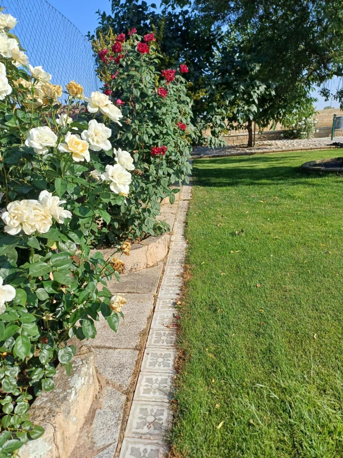 El Almendro Del Cura Villa Villarmayor  Buitenkant foto